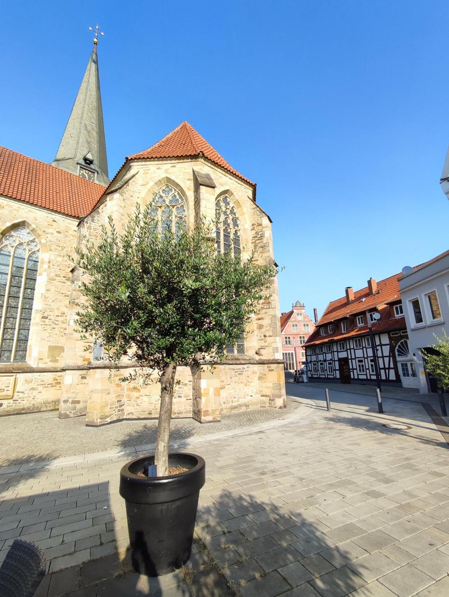 'Bright 1' Innenstadtlage, Ruhige, Schoene, Helle 3Zkb Wlan 赫尔福德 外观 照片